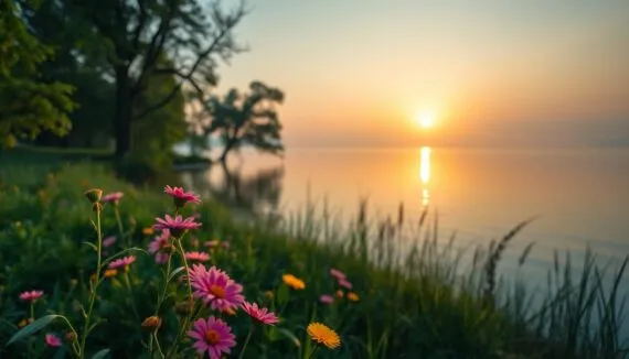 Sprüche Gesundheit Hoffnung