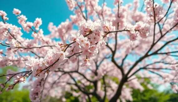 japanische Mädchennamen