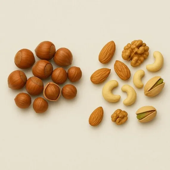 Haselnüsse vs. andere Nüsse