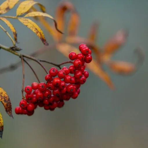 Abnehmen nach der Schwangerschaft